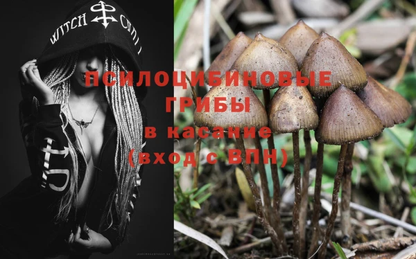 дмт Абинск