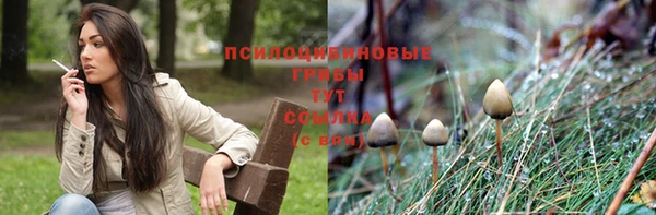дмт Абинск