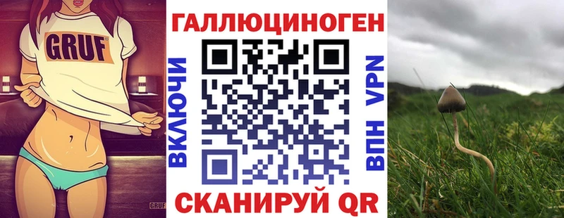 мега ССЫЛКА  Чекалин  Псилоцибиновые грибы Cubensis  как найти закладки 